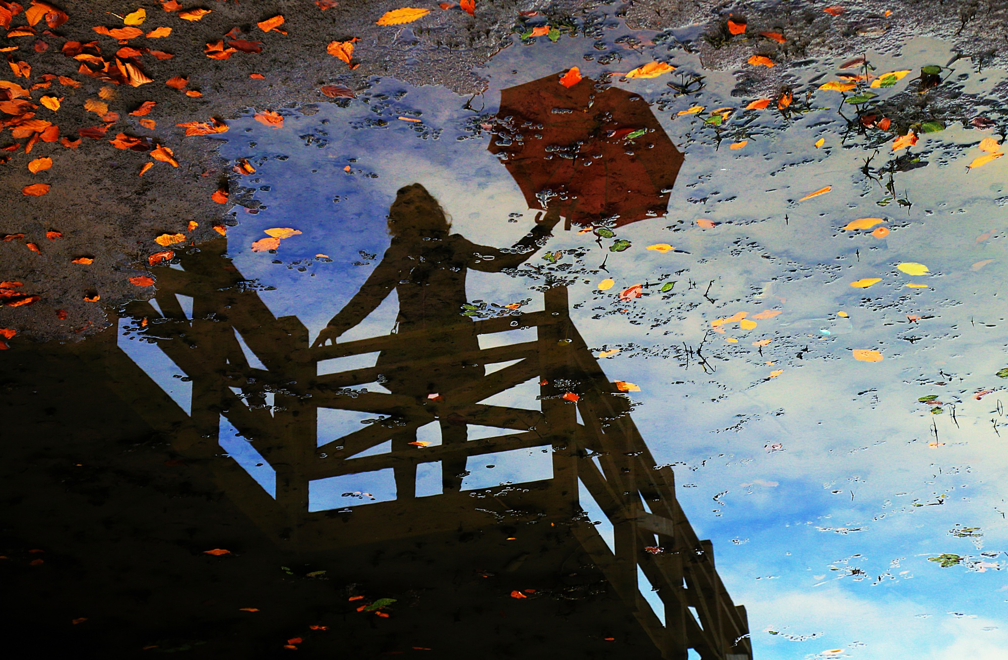 Gölköy Ulugöl Tabiat Parkı